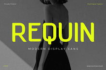 Requin - Modern Display Sans