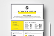 Resume/CV Bundle | 200+ for $29, a Resume Template by ResumeInventor (Thumbnail 38 of 207)