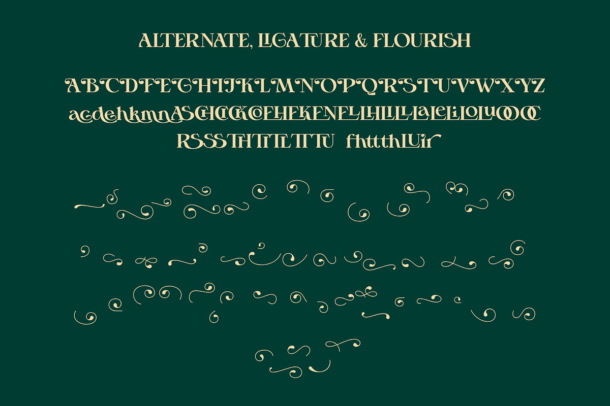Belma Moghena - Decorative Serif, a Serif Font by Bring To Type (Photo 10 of 10)