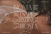 ASENTRO, a Serif Font by Alcode (Thumbnail 15 of 15)