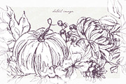 fall pumpkin clipart, an Illustration by JULIA x JULIE's ART (Thumbnail 19 of 20)
