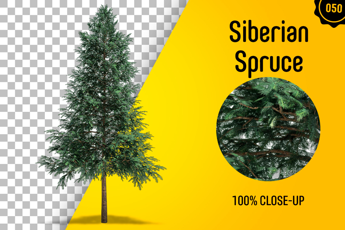 CUT OUT TREES - 60 PCS BUNDLE, a Packaging Mockup by 3DSTORE (Photo 51 of 63)