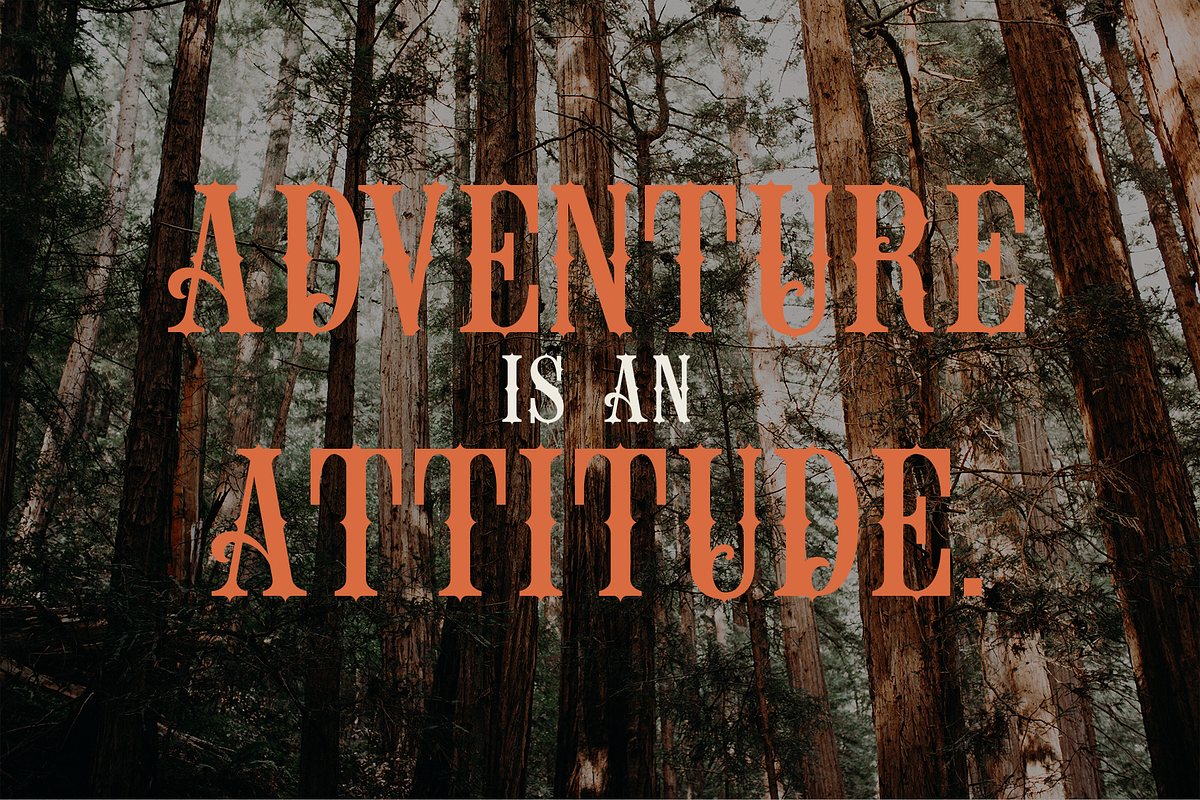 Nestcology, a Blackletter Font by dansdesign (Photo 3 of 8)