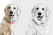 Line Art & Sketch Effect, an Action Add-On by MRI STUDIO (Thumbnail 3 of 11)