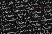 Houstoner Script + EXTRAS! (40%OFF), a Script Font by Martype (Thumbnail 4 of 14)