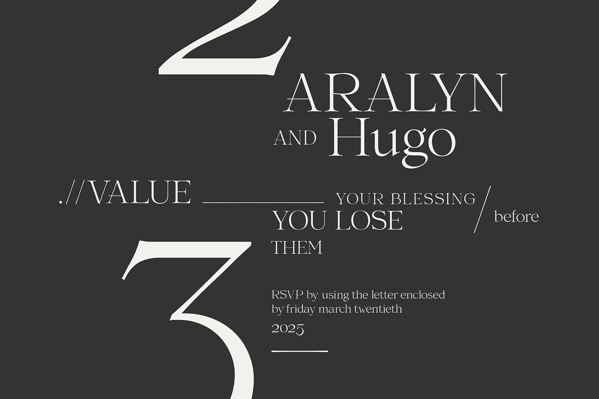 Aesthetic sE, a Serif Font by silukEight (Photo 10 of 10)