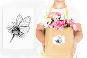 Butterfly. Hand-drawn sketch., an Illustration by Canatic (Thumbnail 5 of 6)