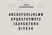 Caffeine & Gasoline Fonts + Extras, a Script Font by Davide Bassu (Thumbnail 11 of 20)