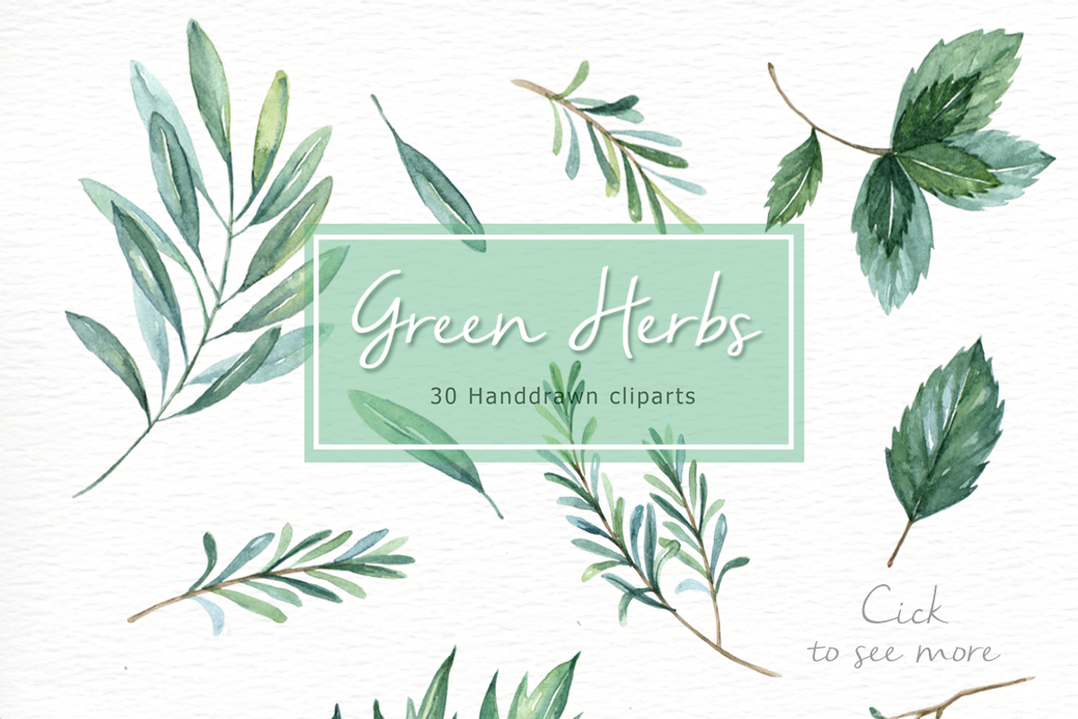 Green Herbs Watercolor clipart, a Food Illustration by everysunsun (Photo 5 of 5)