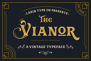 Vianor, a Font by Larin Type Co.