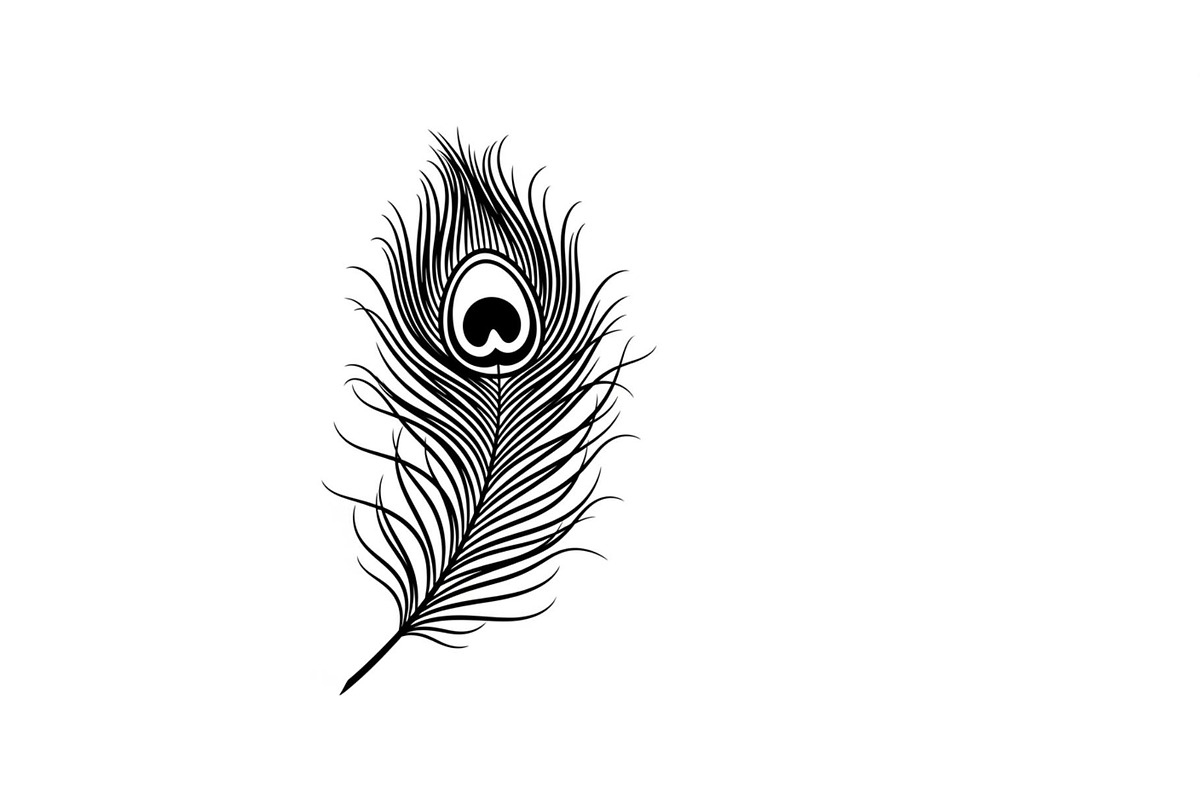 Peacock Feather Silhouette Bundle, an Illustration by jahid234 (Photo 7 of 31)