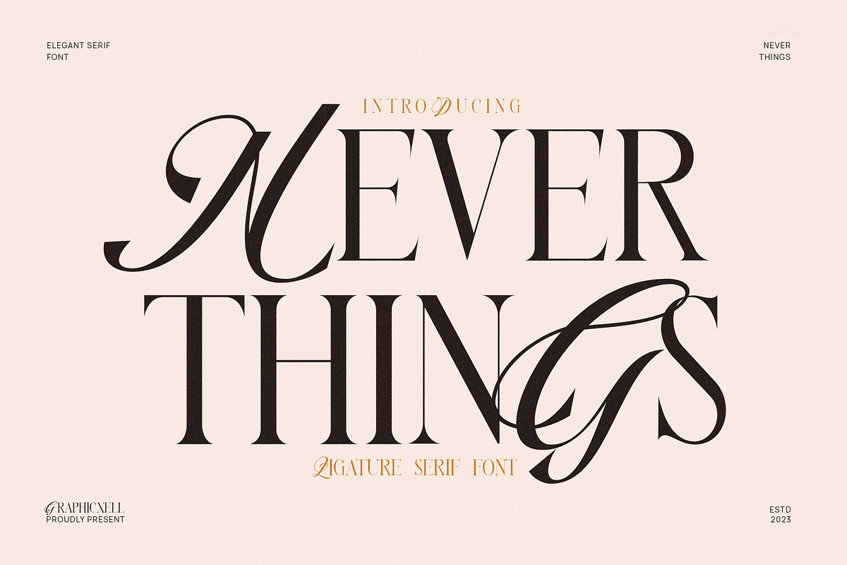 Never Things Elegant & Premium Serif, a Serif Font by Graphicxell (Photo 1 of 10)