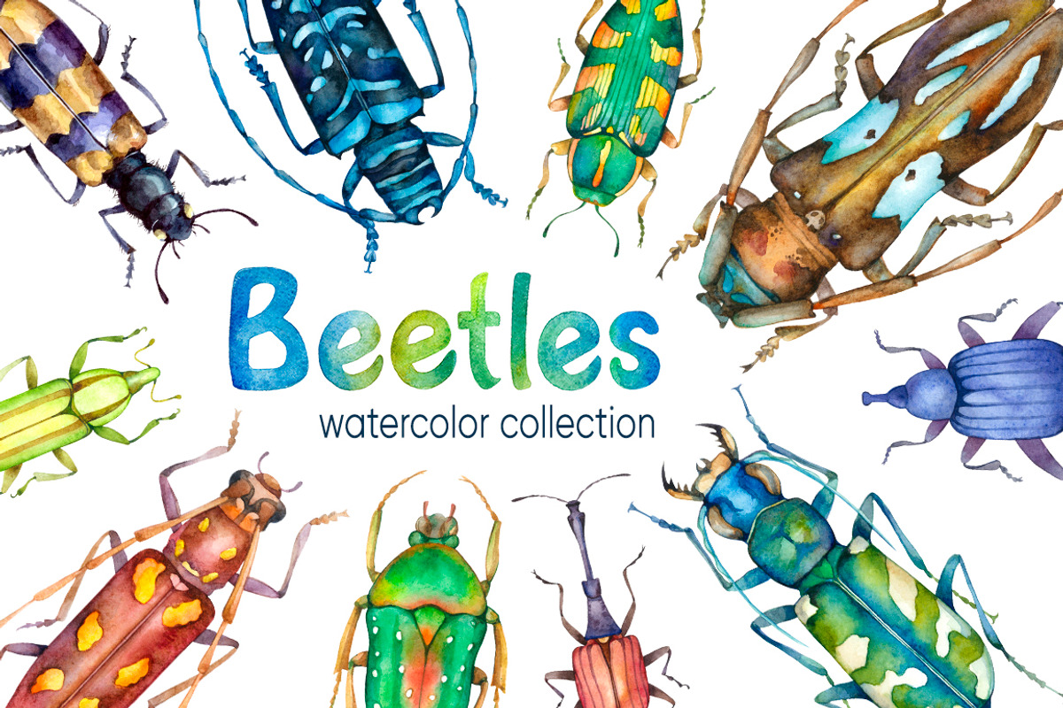 Beetles Watercolor collection, a Graphic by Green_leaf_17 (Photo 1 of 5)