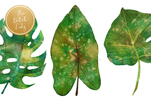 Tropical Jungle Leaves Clipart Set