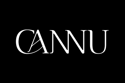 CANNU, a Serif Font by DYSA Studio