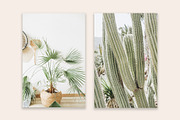 Palm & Cactus Bundle, a Nature Photo by Floral Deco (Thumbnail 5 of 6)