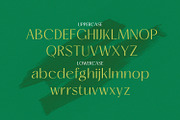 Mogent, a Serif Font by MJtypefoundry (Thumbnail 6 of 8)