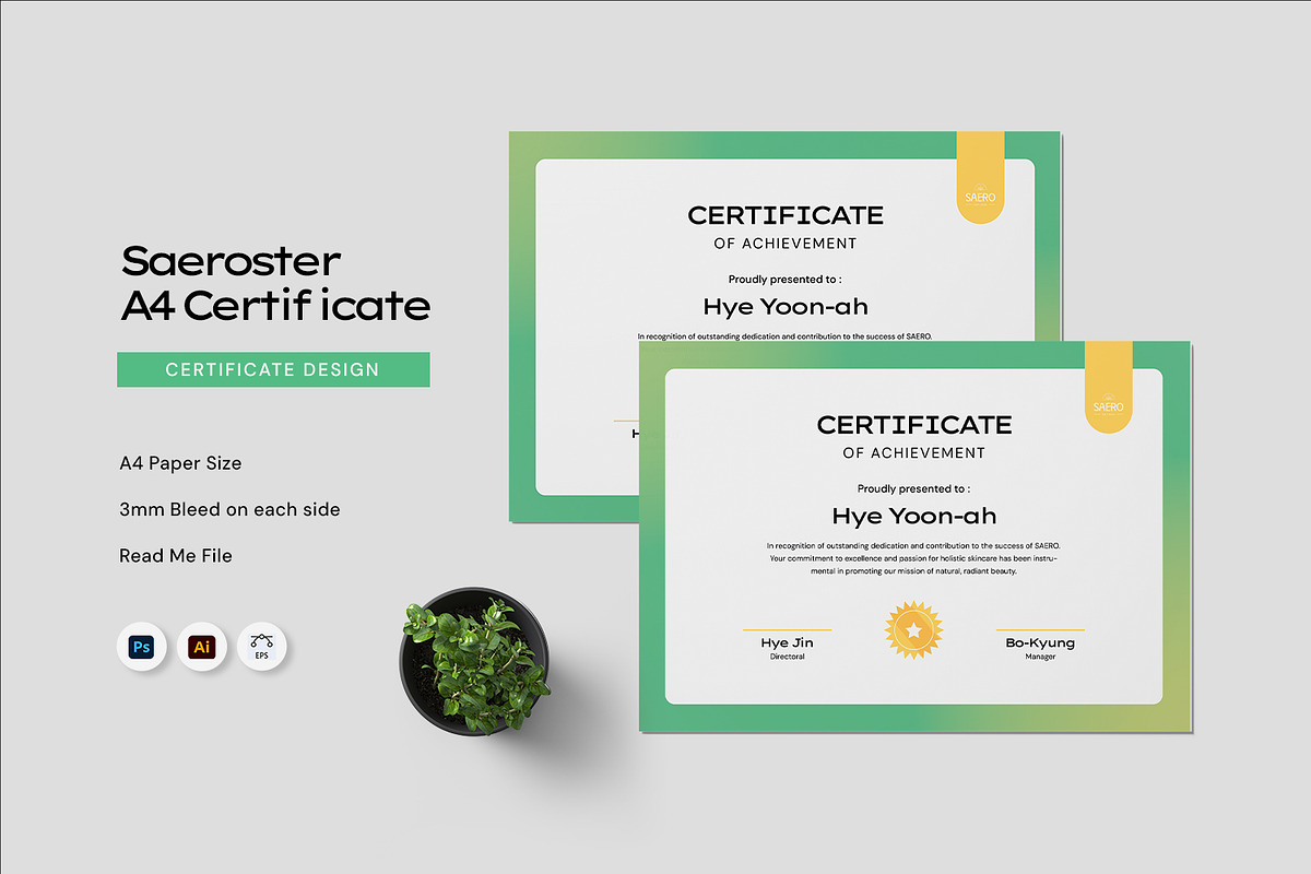 Saeroster - Certificate Template, a Print Template by Fannan Studio (Photo 1 of 3)