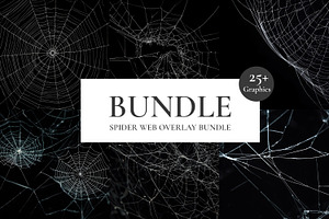 Spider Web Overlay Bundle