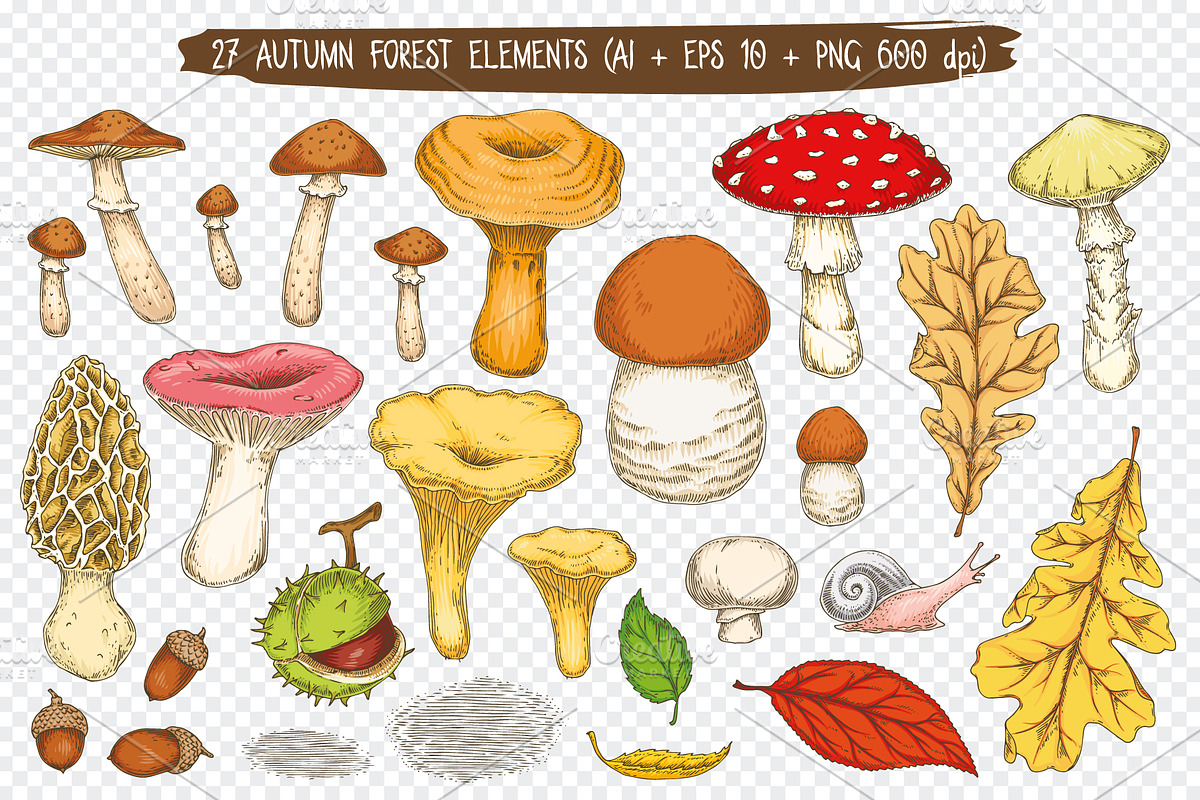 Autumn Forest Elements Collection, an Object Graphic by DeepFuze (Photo 2 of 5)