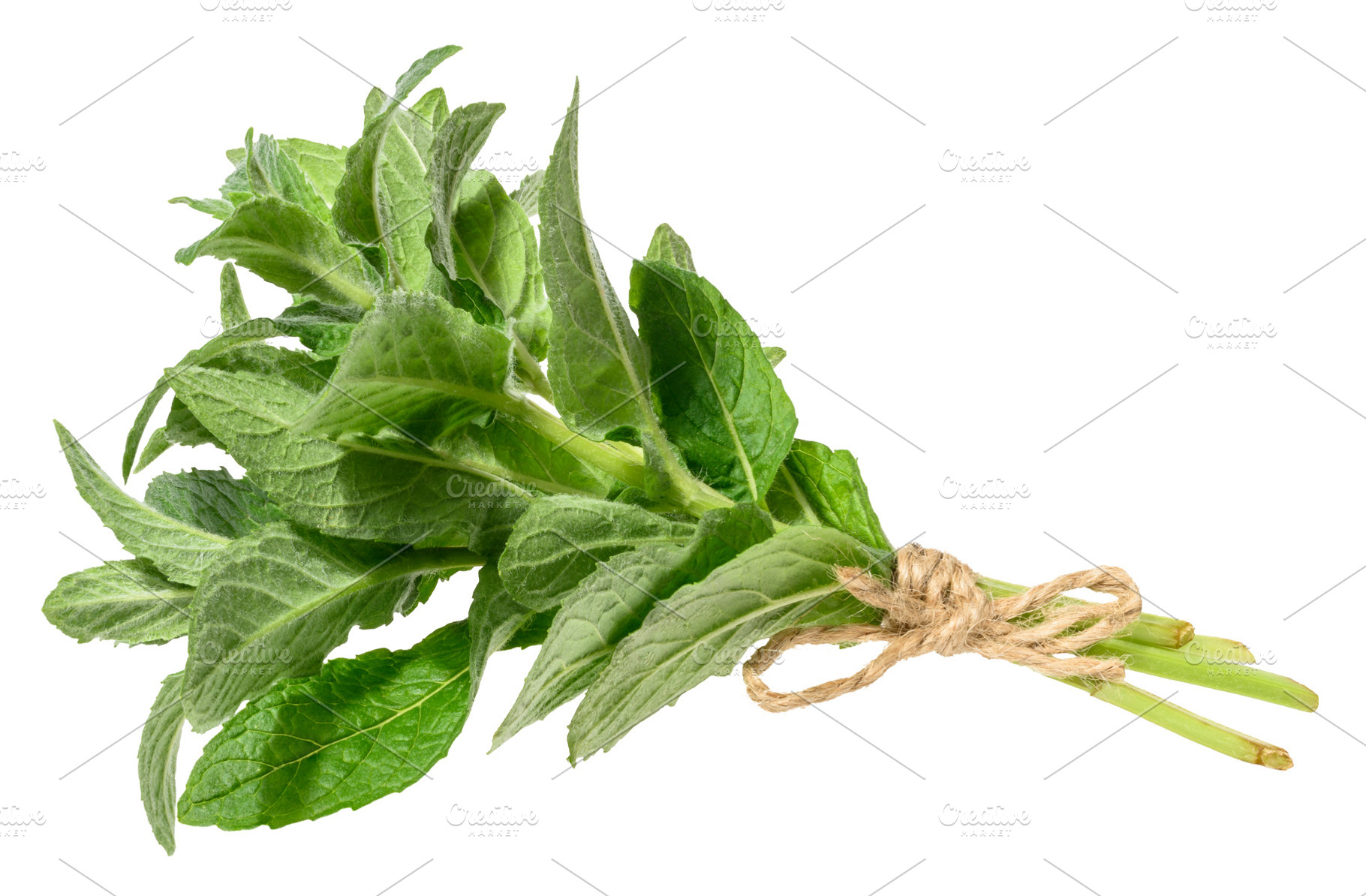 Mint sprigs tied with rope on isolated background, a Food & Drink Photo by ndanko