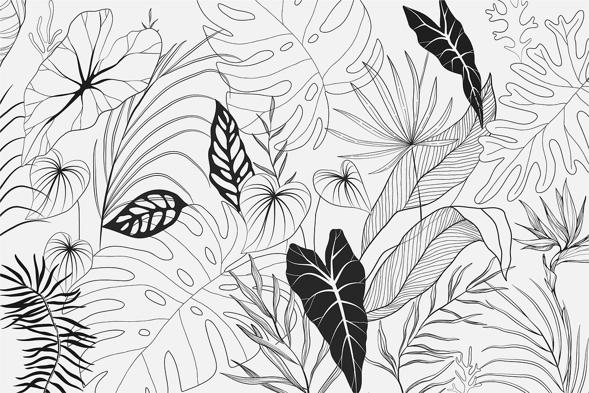 Tropical collection, a Decorative Illustration by Merfin (Photo 9 of 10)
