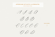 Saint Viet | Calligraphy Font, a Script Font by Calamar Studio (Thumbnail 23 of 29)