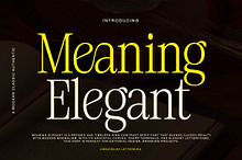 Meaning Elegant - Classic Serif Font