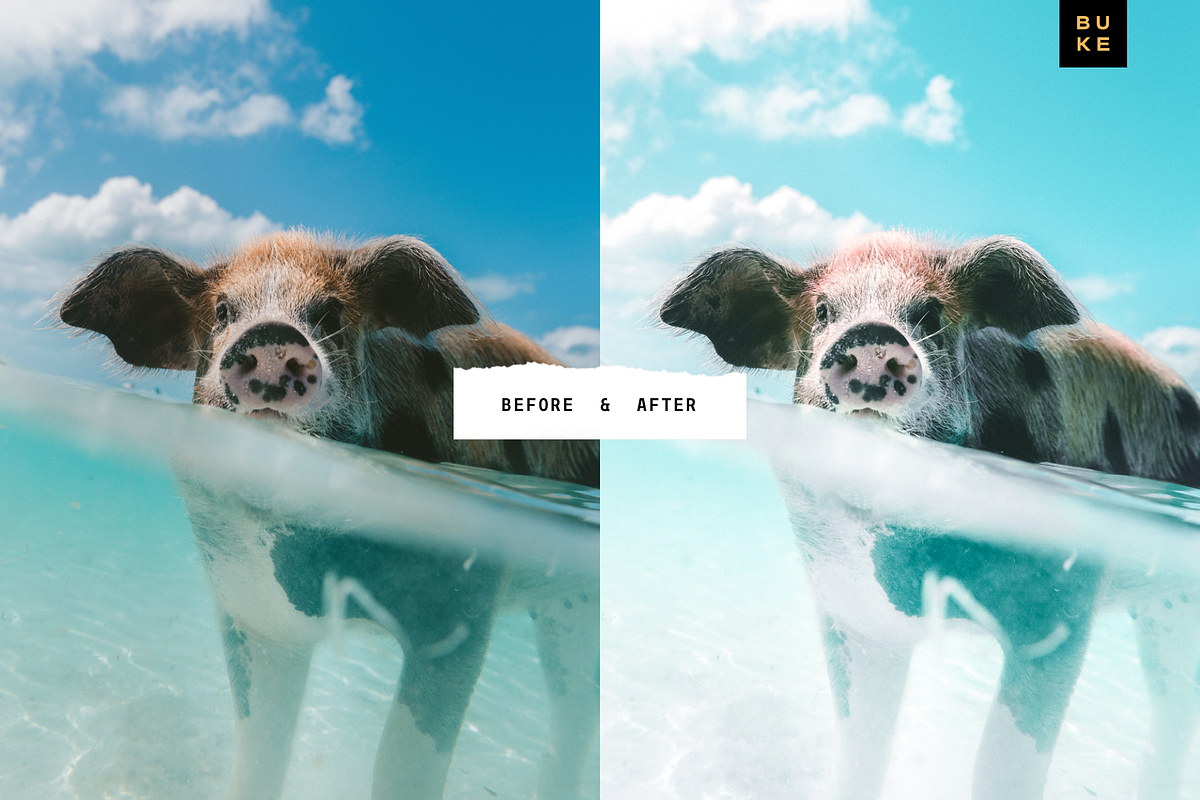 Tropical Lightroom Presets Bundle preview 7