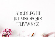 Jaavon Serif Font Family, a Serif Font by Creativetacos (Thumbnail 4 of 6)