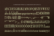 CS Draper – Elegant Font, a Serif Font by Craft Supply Co. (Thumbnail 8 of 8)