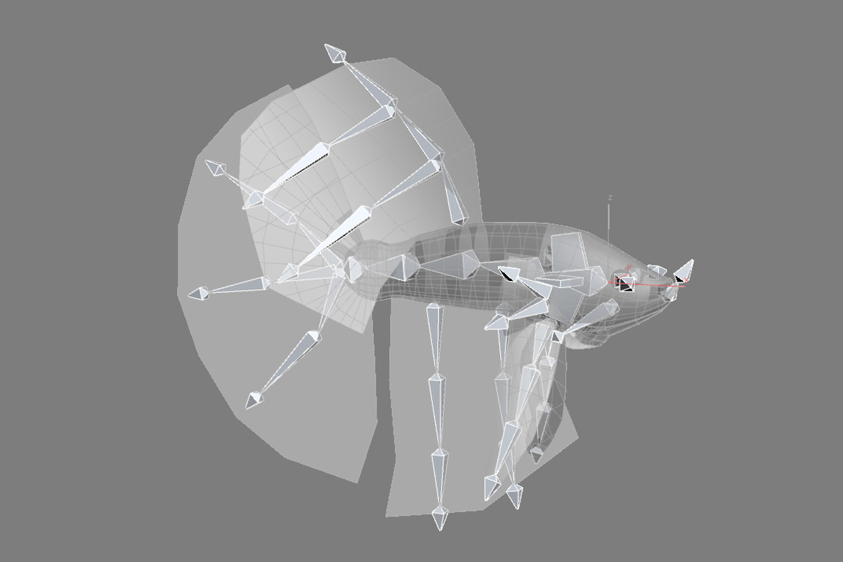 Betta Fish, an Animal 3D Model by AndrewWhite (Photo 5 of 11)
