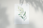 Watercolor Eucalyptus Green Floral, a Decorative Illustration by Veris Studio (Thumbnail 5 of 25)
