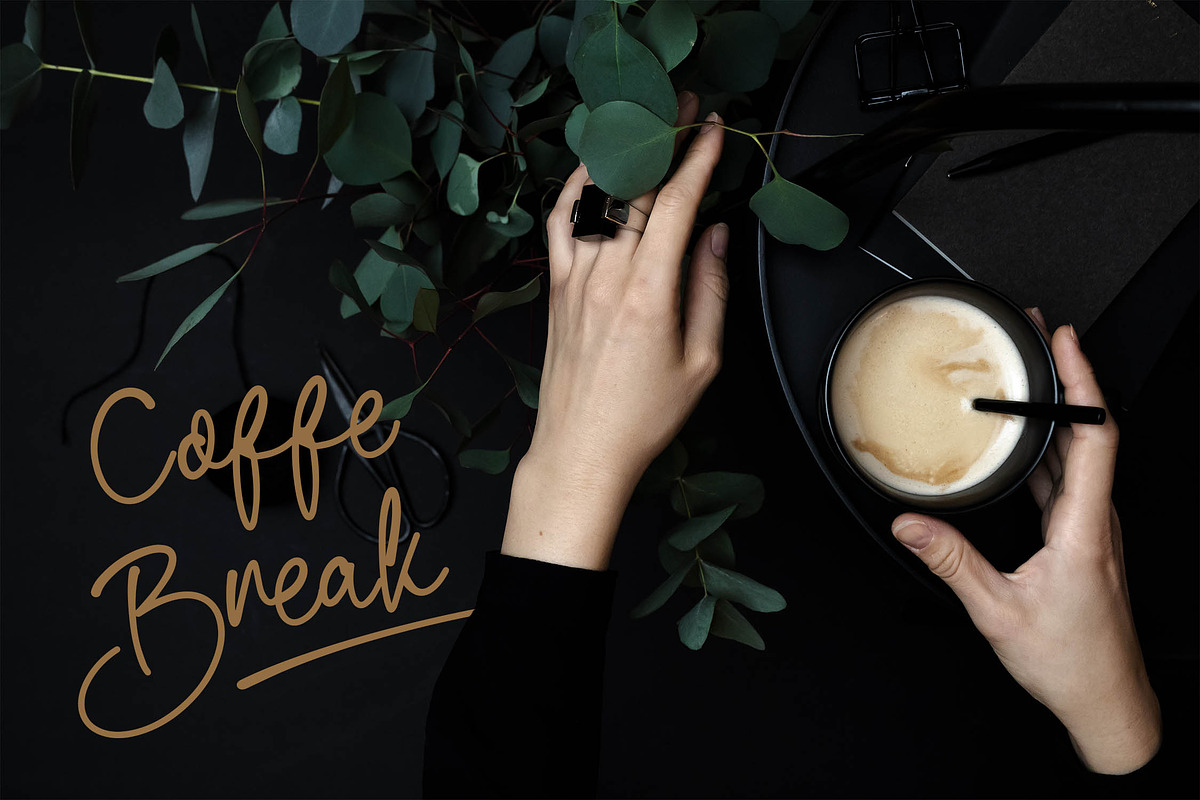 Renatta - Elegant Script Font, a Script Font by NTC Graphic (Photo 4 of 9)