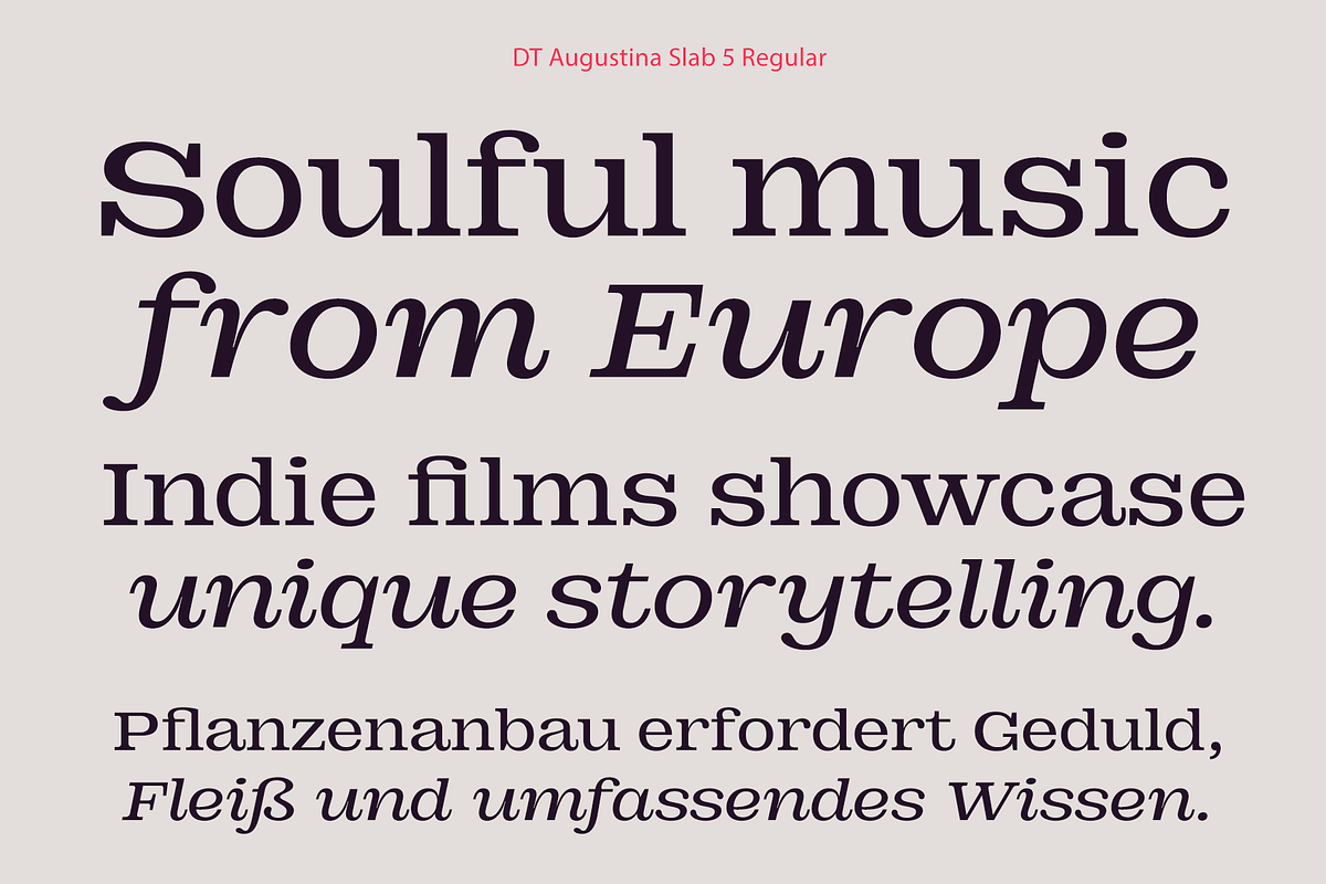 DT Augustina Slab 5 Subfamily, a Slab Serif Font by Deveze Type Foundry (Photo 7 of 31)