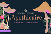 Apothicaire font, a Serif Font by Sudtipos (Thumbnail 1 of 8)