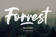 Forrest - Brush Font, a Script Font by Weape Studio (Thumbnail 1 of 10)