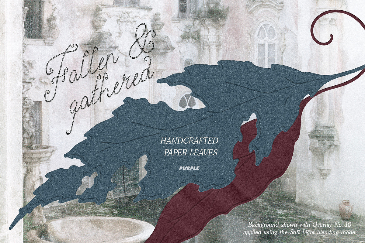 Fallen & Gathered Paper Collage, an Object Graphic by Purple (Photo 7 of 13)