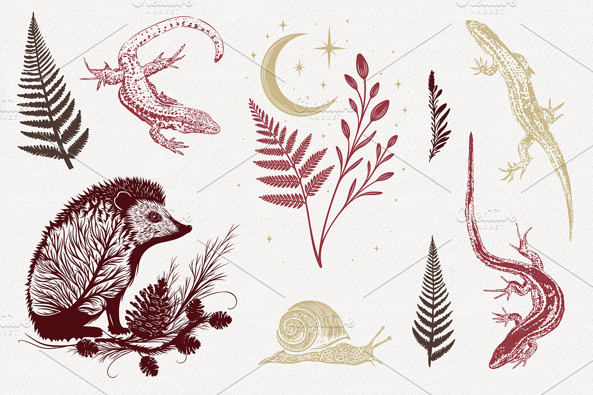 Woodland Mystic Animals & Botanical, a Decorative Illustration by Christine Krahl (Photo 4 of 12)