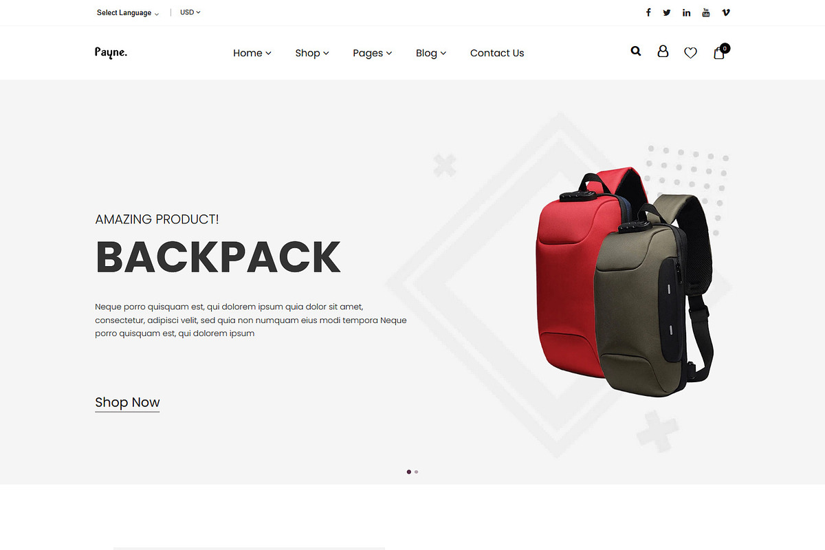 eCommerce Shopify Theme - Payne, a Shopify Template by HasThemes (Photo 3 of 3)