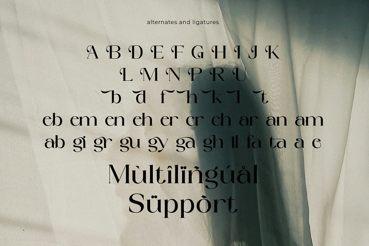 Fellast - New Display Serif Font, a Serif Font by Muflieart (Photo 10 of 10)