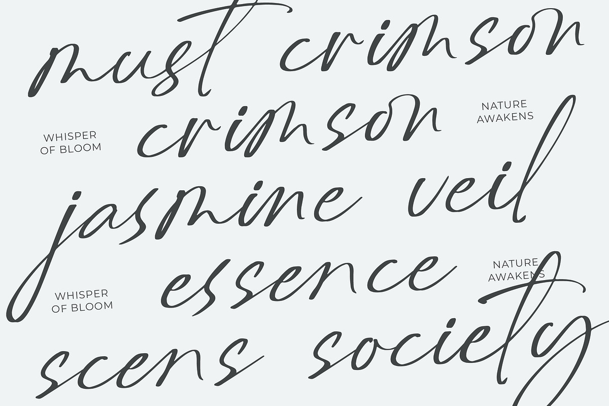 Delynta Roastiph Handwritten Ink Fon, a Script Font by Letterena Studios Script (Photo 5 of 15)