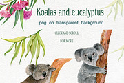 Koala & eucalyptus set illustration, an Animal Illustration by MitrushovaArt (Thumbnail 2 of 7)