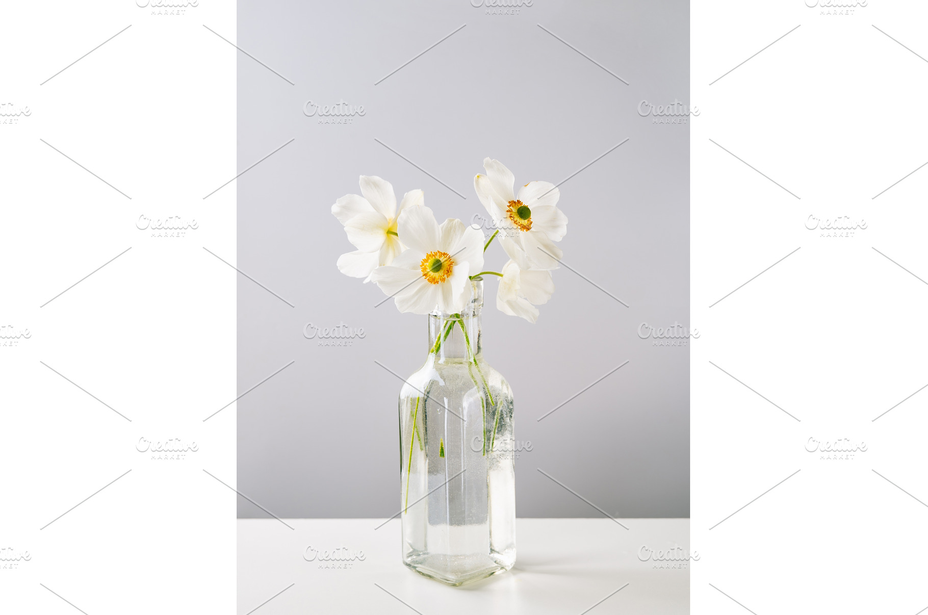 Gentle white anemone flowers in, a Nature Photo by Yummypic