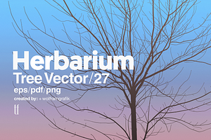 Herbarium: Tree Vector No.27