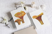 Watercolor: set of forest elements, a Graphic by WatercolorAnn (Thumbnail 7 of 13)