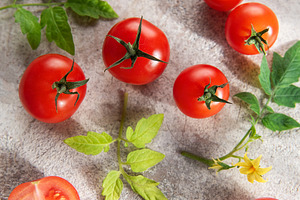 Fresh cherry tomatoes and leaves on light background, a Food & Drink Photo by Olena Rudo
