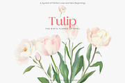 watercolor clipart tulip set, a Decorative Illustration by Patishop Art (Thumbnail 3 of 11)