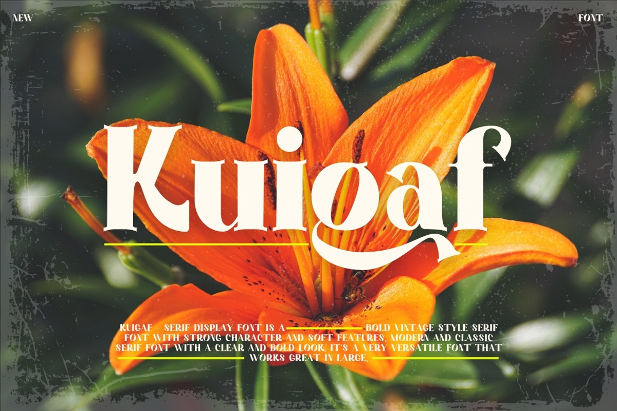 Kuigaf - Serif Display Font, a Serif Font by Dhabee (Photo 1 of 10)