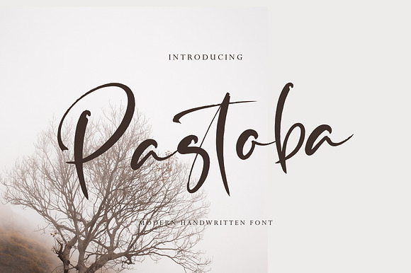 Pastoba Black Friday preview 8